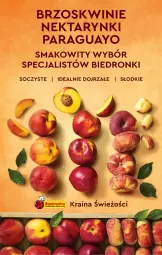 Gazetka promocyjna Biedronka - Gazetka - ważna od 13.07 do 13.07.2022 - strona 14 - produkty: , Brzoskwinie, Nektar