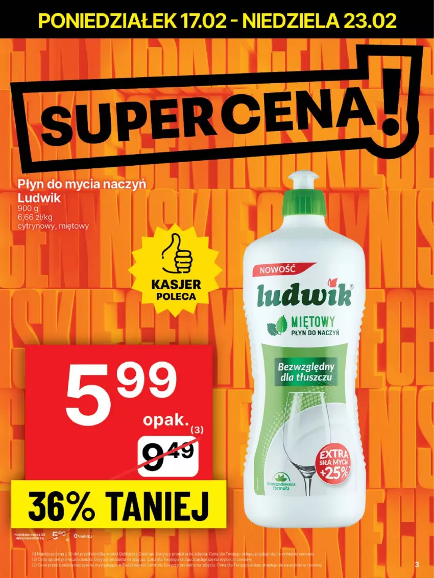 Gazetka promocyjna Delikatesy Centrum - NOWA GAZETKA Delikatesy Centrum od 17 lutego! 17-23.02.2025 - ważna 17.02 do 23.02.2025 - strona 3 - produkty: Do mycia naczyń, Ludwik, Płyn do mycia, Płyn do mycia naczyń