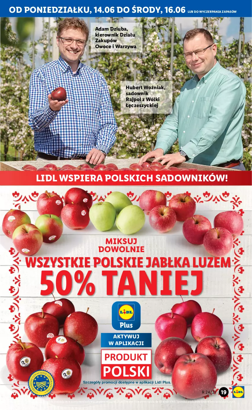 Gazetka promocyjna Lidl - GAZETKA - ważna 14.06 do 16.06.2021 - strona 19 - produkty: Jabłka, Owoce, Warzywa