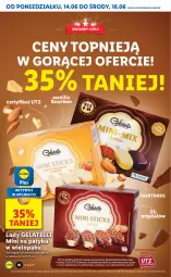 Gazetka promocyjna Lidl - GAZETKA - Gazetka - ważna od 16.06 do 16.06.2021 - strona 16 - produkty: Bourbon, Lody, Fa