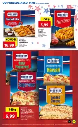 Gazetka promocyjna Lidl - GAZETKA - Gazetka - ważna od 16.06 do 16.06.2021 - strona 25 - produkty: Pizza, Frytki