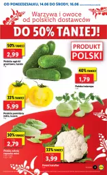 Gazetka promocyjna Lidl - GAZETKA - Gazetka - ważna od 16.06 do 16.06.2021 - strona 7 - produkty: Kalafior, Warzywa, Warzywa i owoce, Sałat, Owoce, Grunt, Pomidory