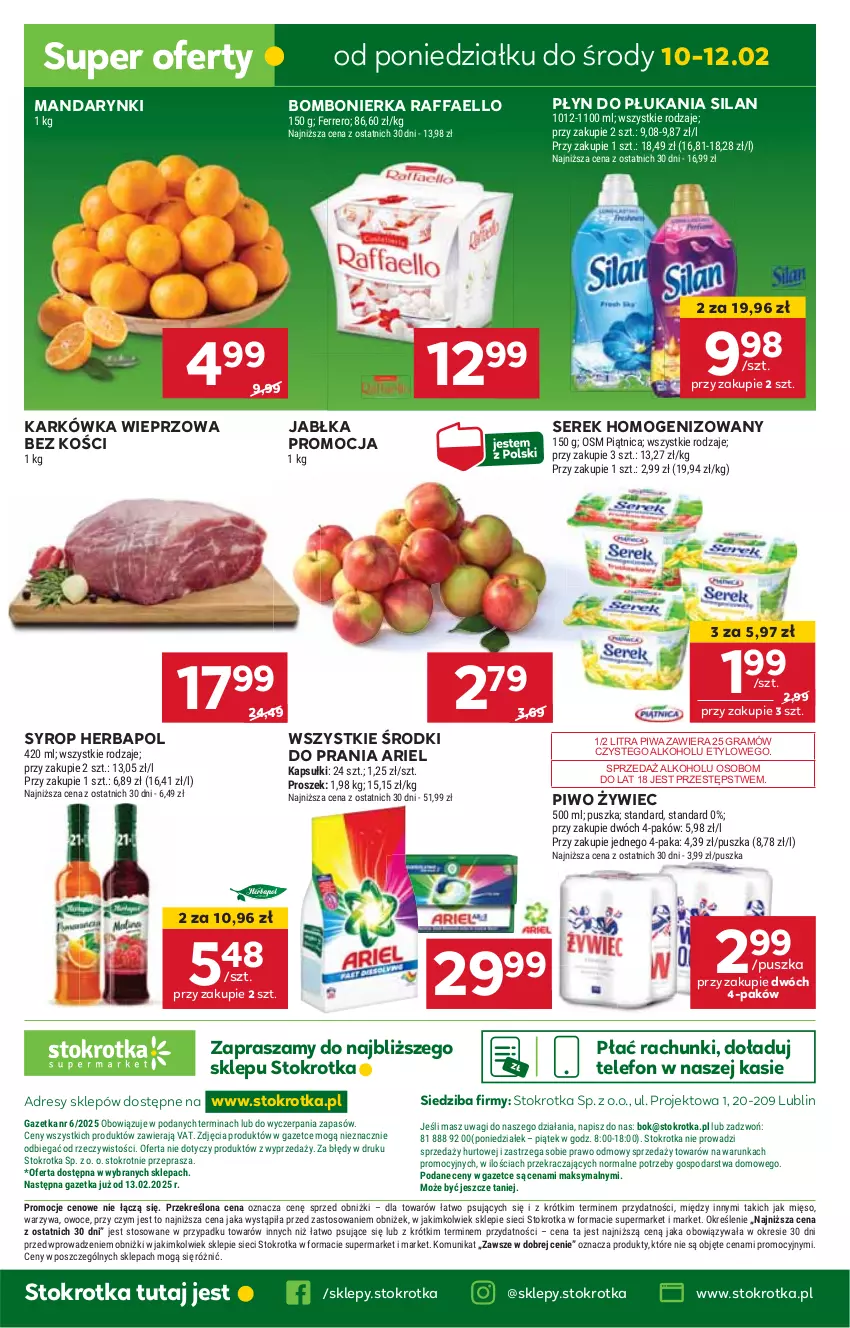 Gazetka promocyjna Stokrotka - Supermarket Opole/Radom - ważna 06.02 do 12.02.2025 - strona 41 - produkty: Ariel, Dres, Fa, Gra, Herbapol, HP, Jabłka, JBL, Karkówka wieprzowa, Mandarynki, Piwa, Piwo, Płyn do płukania, Raffaello, Ser, Serek, Serek homogenizowany, Silan, Syrop, Telefon