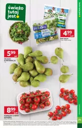Gazetka promocyjna Stokrotka - Supermarket Opole/Radom - Gazetka - ważna od 12.02 do 12.02.2025 - strona 11 - produkty: Sałat, Gruszki, Pomidory, HP
