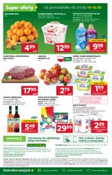 Gazetka promocyjna Stokrotka - Supermarket Opole/Radom - Gazetka - ważna od 12.02 do 12.02.2025 - strona 41 - produkty: Piwa, Piwo, Mandarynki, Ser, JBL, Gra, Telefon, Karkówka wieprzowa, Raffaello, Serek homogenizowany, Dres, Serek, Silan, Płyn do płukania, Syrop, Ariel, Herbapol, Jabłka, HP, Fa