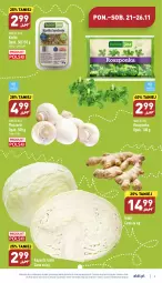 Gazetka promocyjna Aldi - Pełny katalog - Gazetka - ważna od 26.11 do 26.11.2022 - strona 3 - produkty: Piec, Roszponka, Kiełki, Imbir