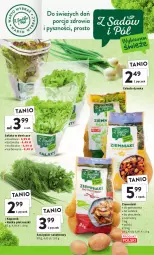 Gazetka promocyjna Intermarche - Gazetka Intermarche - Gazetka - ważna od 11.01 do 11.01.2023 - strona 11 - produkty: Piec, Cebula, Ziemniaki, Sałat, Natka pietruszki, Masło