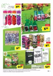 Gazetka promocyjna Carrefour - Gazetka Relaks w ogrodzie - Gazetka - ważna od 08.04 do 08.04.2023 - strona 13 - produkty: Sos, Gra, BIC, Borówka, Róża, Tonik, Flora