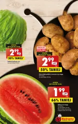 Gazetka promocyjna Biedronka - Gazetka - ważna od 14.06 do 14.06.2023 - strona 19 - produkty: Ziemniaki, Sałat, Arbuz