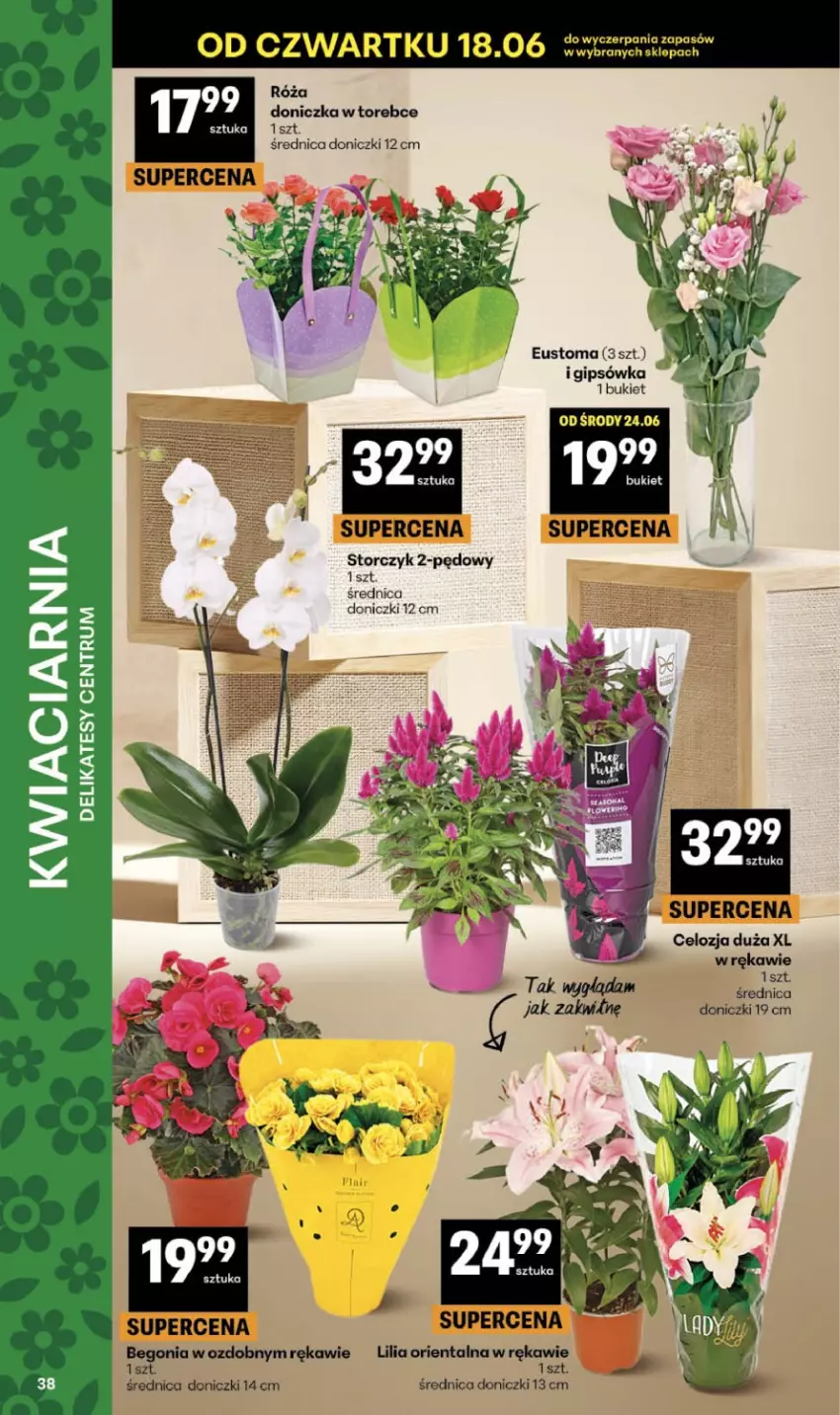 Gazetka promocyjna Delikatesy Centrum - Franczyza DC25 Czwartek - ważna 18.06 do 24.06.2026 - strona 38 - produkty: Bukiet, Róża, Storczyk