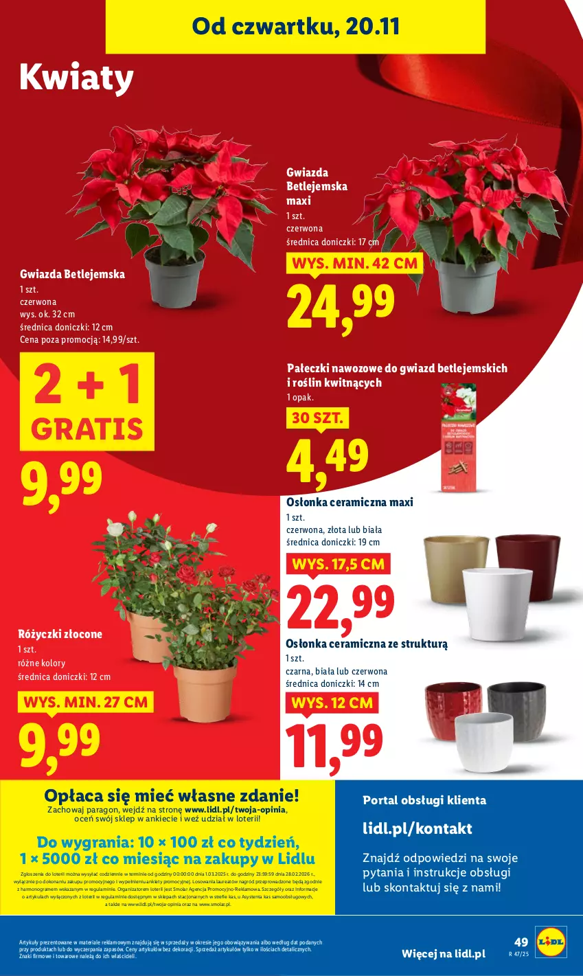 Gazetka promocyjna Lidl - GAZETKA - ważna 20.11 do 22.11.2025 - strona 53 - produkty: Gra, Gwiazda, Laur, Mola, Osłonka, Por, Portal