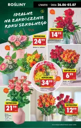 Gazetka promocyjna Biedronka - Od Czwartku - Gazetka - ważna od 02.07 do 02.07.2025 - strona 25 - produkty: Sok, Róża, Wazon, Bukiet, LG