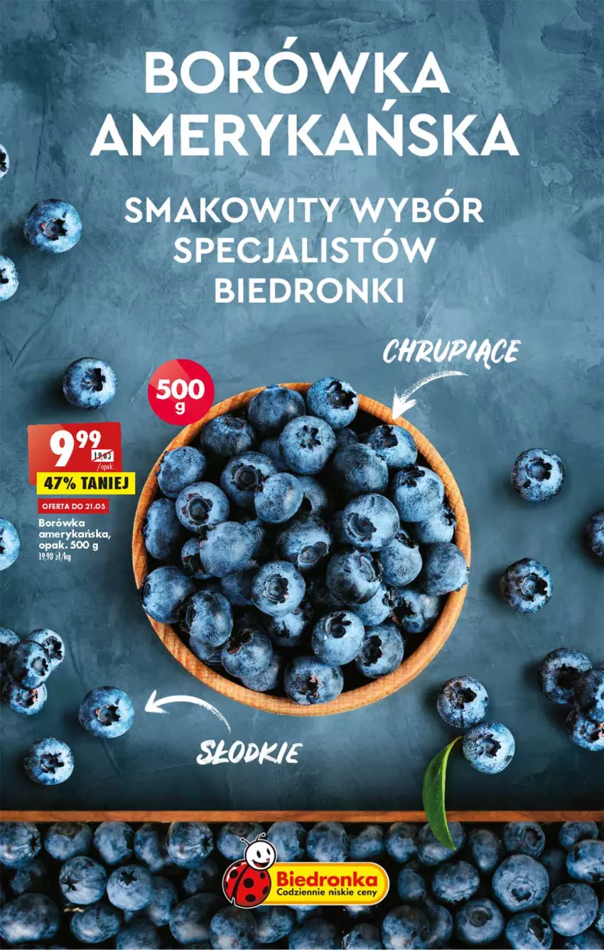 Gazetka promocyjna Biedronka - W tym tygodniu - ważna 19.05 do 25.05.2022 - strona 11 - produkty: Borówka, Borówka amerykańska