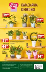 Gazetka promocyjna Biedronka - W tym tygodniu - Gazetka - ważna od 25.05 do 25.05.2022 - strona 56 - produkty: Halo, Tera, Wazon, , Fa