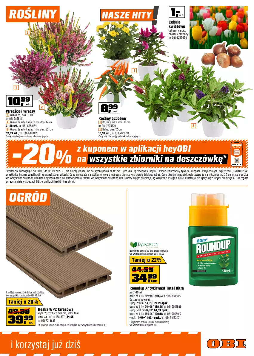 Gazetka promocyjna Obi - Gazetka OBI - ważna 20.08 do 09.09.2025 - strona 11 - produkty: Czosnek, Narcyz, Ogród, Tulipan