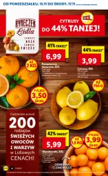 Gazetka promocyjna Lidl - GAZETKA - Gazetka - ważna od 17.11 do 17.11.2021 - strona 8 - produkty: Mandarynki, Ser, Por, Cytryny, Pomarańcze, Deser, Fa