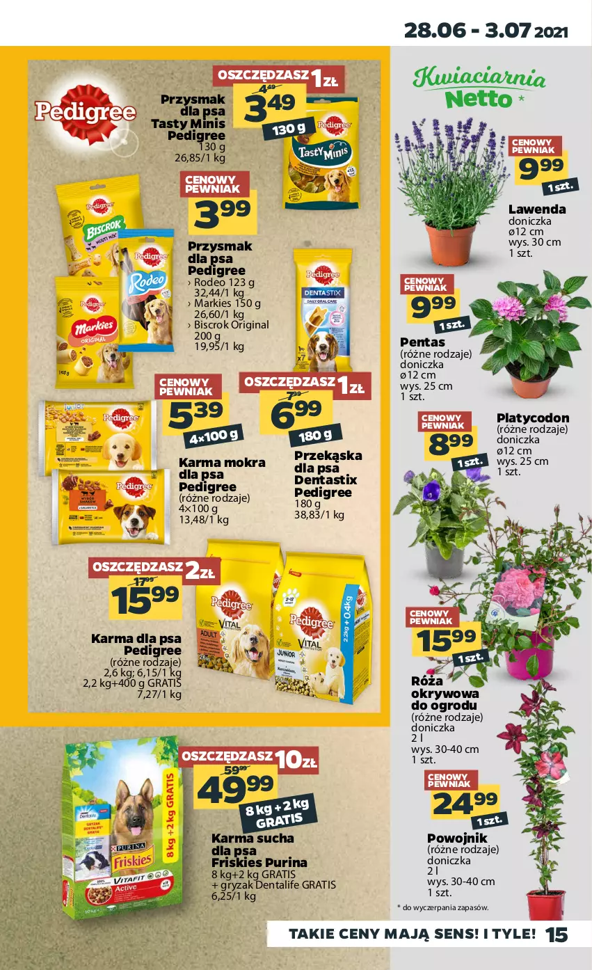 Gazetka promocyjna Netto - Gazetka spożywcza - ważna 28.06 do 03.07.2021 - strona 15 - produkty: Friskies, Gin, Gra, Gry, Pedigree, Przysmak dla psa, Pur, Purina, Róża