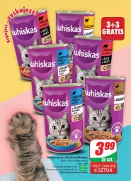 Gazetka promocyjna Dino - Gazetka 21 / 2024 - Gazetka - ważna od 28.05 do 28.05.2024 - strona 62 - produkty: Mokra karma, Whiskas, Mars