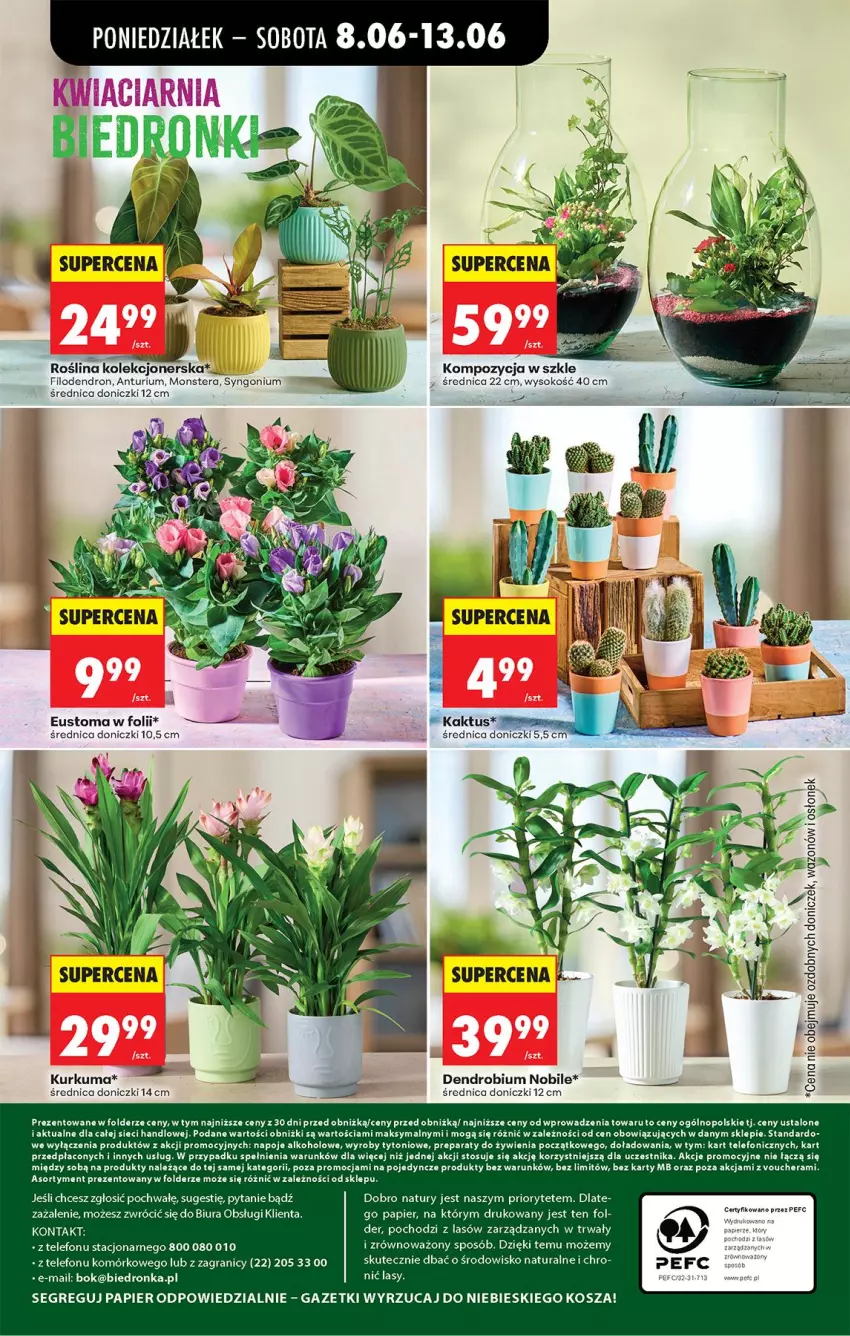 Gazetka promocyjna Biedronka - Od Poniedziałku - ważna 08.06 do 13.06.2026 - strona 88 - produkty: Gra, Kosz, Kurkuma, Napoje, Papier, Sok, Telefon, Tera, Wazon