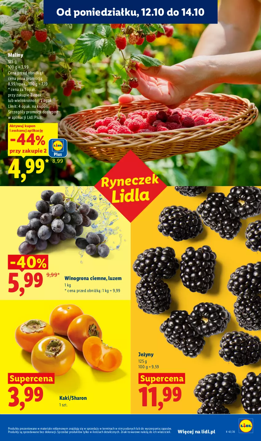 Gazetka promocyjna Lidl - Gazetka - ważna 12.10 do 14.10.2026 - strona 51 - produkty: Jeżyny, Kaki, Maliny, Wino, Winogrona