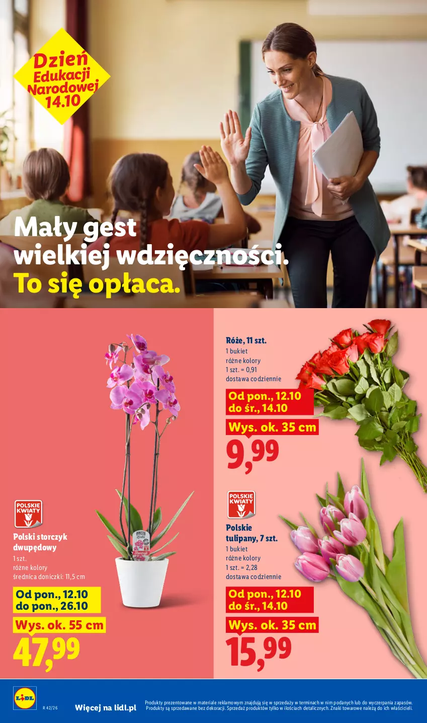 Gazetka promocyjna Lidl - Gazetka - ważna 12.10 do 14.10.2026 - strona 8 - produkty: Bukiet, Storczyk, Tulipan