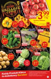 Gazetka promocyjna Delikatesy Centrum - Gazetka Delikatesy Centrum - Gazetka - ważna od 23.06 do 23.06.2021 - strona 15 - produkty: Gra, Sałata lodowa, Sałat