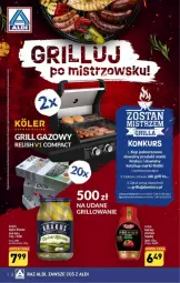 Gazetka promocyjna Aldi - Gazetka - ważna od 12.08 do 12.08.2023 - strona 37 - produkty: Ketchup, Krakus, Kotlin, Grill, Grill gazowy