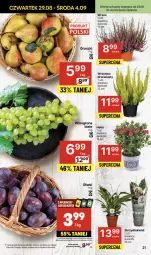 Gazetka promocyjna Delikatesy Centrum - NOWA GAZETKA Delikatesy Centrum od 29 sierpnia! 29.08-4.09.2024 - Gazetka - ważna od 04.09 do 04.09.2024 - strona 21 - produkty: Rum, Winogrona, Wino