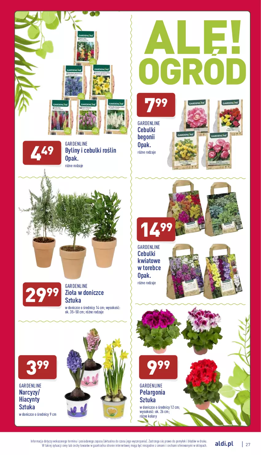 Gazetka promocyjna Aldi - Pełny katalog - ważna 07.03 do 12.03.2022 - strona 27 - produkty: Hiacynt, Narcyz, Sok, Zioła w doniczce