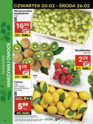 Gazetka promocyjna Delikatesy Centrum - NOWA GAZETKA Delikatesy Centrum od 20 lutego! 20-26.02.2025 - Gazetka - ważna od 26.02 do 26.02.2025 - strona 17 - produkty: Rum, Cytryny, Winogrona, Wino