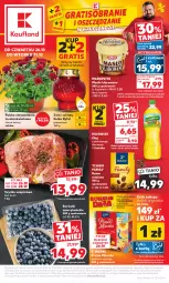 Gazetka promocyjna Kaufland - Gazetka tygodnia - Gazetka - ważna od 31.10 do 31.10.2023 - strona 1 - produkty: Tchibo, Masło klarowane, Kujawski, Sok, Gra, Szynka wieprzowa, Rama, Chryzantema, Kawa mielona, Kawa, Mlekovita, Szynka, Mleczko, Ptasie mleczko, Tchibo Family, Znicz, E. Wedel, Masło, Olej, Mleko, Fa