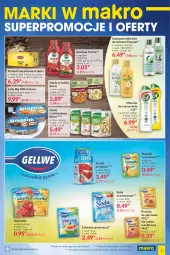 Gazetka promocyjna Makro - [Oferta specjalna] Marki w MAKRO - Gazetka - ważna od 28.06 do 28.06.2021 - strona 5 - produkty: Piec, Ketchup, Makaron, Ser, Cif, Cukier, Proszek do pieczenia, Big Milk, Lody, Mleczko, Lipton, Galaretka, Soda oczyszczona, Szampon, Odżywka, Cukier wanilinowy, Herbata, Gala, Knorr