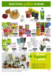Gazetka promocyjna Carrefour - Gazetka Market - Gazetka - ważna od 27.02 do 27.02.2021 - strona 15 - produkty: Mus, Biohumus, Kaktus, Siatka, Storczyk, Nawóz, Miecz, Osłonka