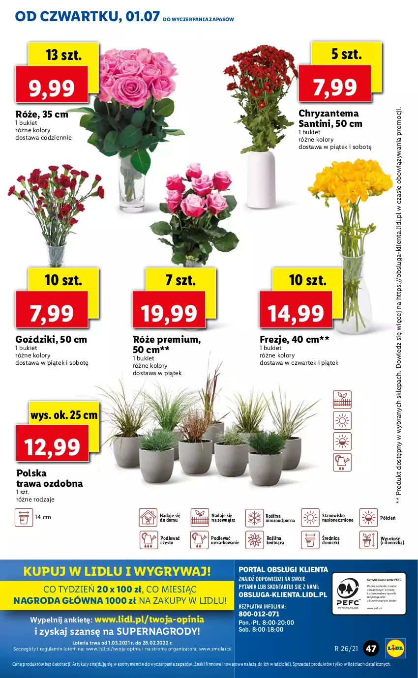 Gazetka promocyjna Lidl - GAZETKA - ważna 01.07 do 03.07.2021 - strona 47 - produkty: Bukiet, Chryzantema, Cień, Gry, Mola, O nas, Por, Sok