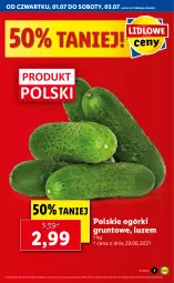 Gazetka promocyjna Lidl - GAZETKA - Gazetka - ważna od 03.07 do 03.07.2021 - strona 7 - produkty: Grunt
