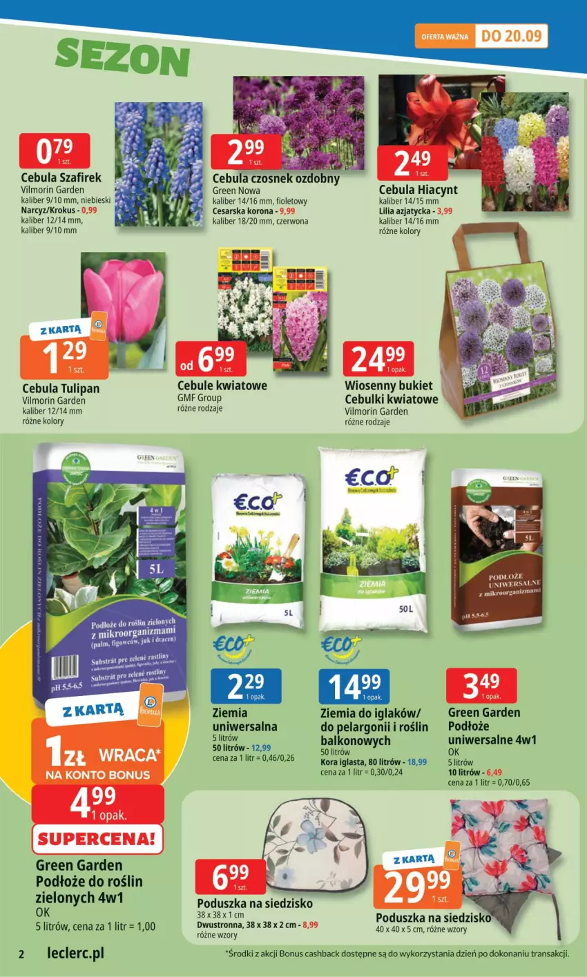 Gazetka promocyjna E Leclerc - ważna 08.09 do 15.09.2025 - strona 2 - produkty: Bukiet, Cebula, Czosnek, Fa, Hiacynt, Krokus, Narcyz, Podłoże do roślin, Poduszka, Siedzisko, Tran, Tulipan