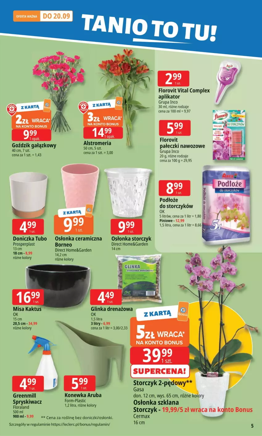 Gazetka promocyjna E Leclerc - ważna 08.09 do 15.09.2025 - strona 5 - produkty: Inka, Kaktus, Konewka, LANA, Osłonka, Storczyk