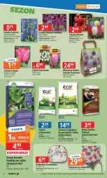 Gazetka promocyjna E Leclerc - Gazetka - ważna od 15.09 do 15.09.2025 - strona 2 - produkty: Cebula, Podłoże do roślin, Hiacynt, Tulipan, Czosnek, Tran, Bukiet, Narcyz, Siedzisko, Krokus, Poduszka, Fa