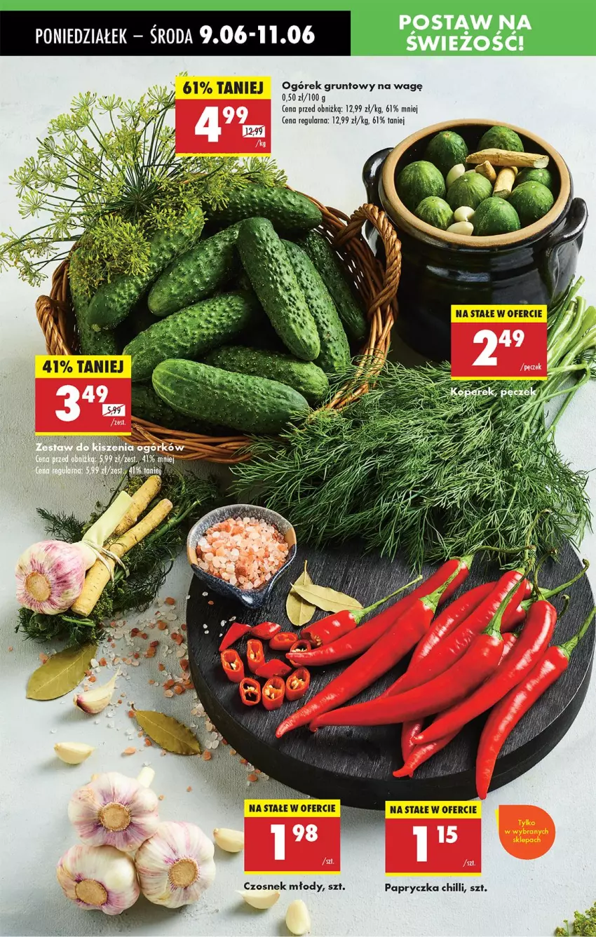Gazetka promocyjna Biedronka - Od Poniedziałku - ważna 09.06 do 14.06.2025 - strona 20 - produkty: Czosnek, Grunt, Ogórek