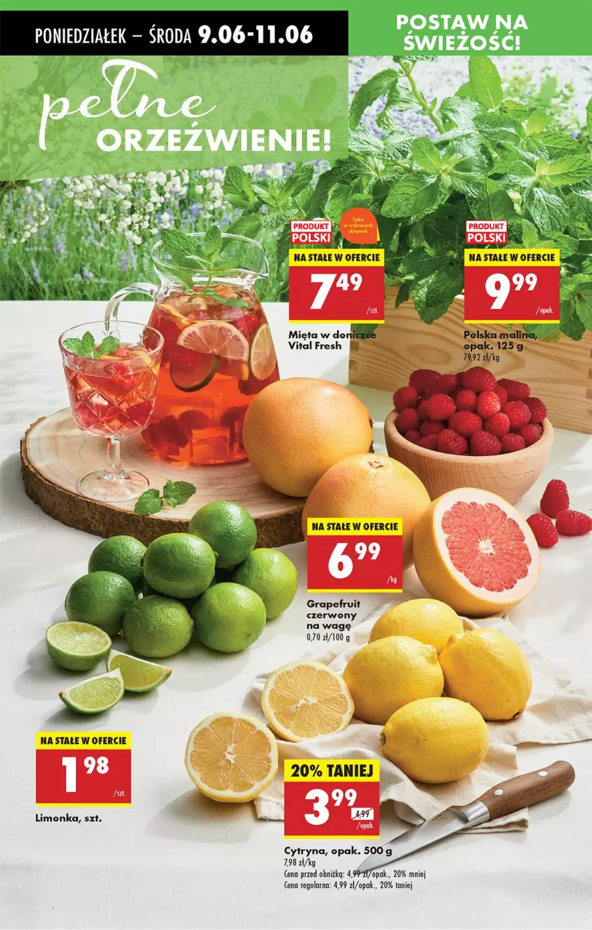 Gazetka promocyjna Biedronka - Od Poniedziałku - ważna 09.06 do 14.06.2025 - strona 22 - produkty: Gra, Limonka, Mięta