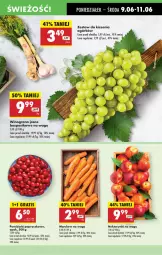 Gazetka promocyjna Biedronka - Od Poniedziałku - Gazetka - ważna od 14.06 do 14.06.2025 - strona 17 - produkty: Gra, Pomidorki, Wino, Nektar