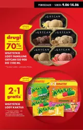 Gazetka promocyjna Biedronka - Od Poniedziałku - Gazetka - ważna od 14.06 do 14.06.2025 - strona 9 - produkty: Por, Gry, Kaktus, Lody, Fa