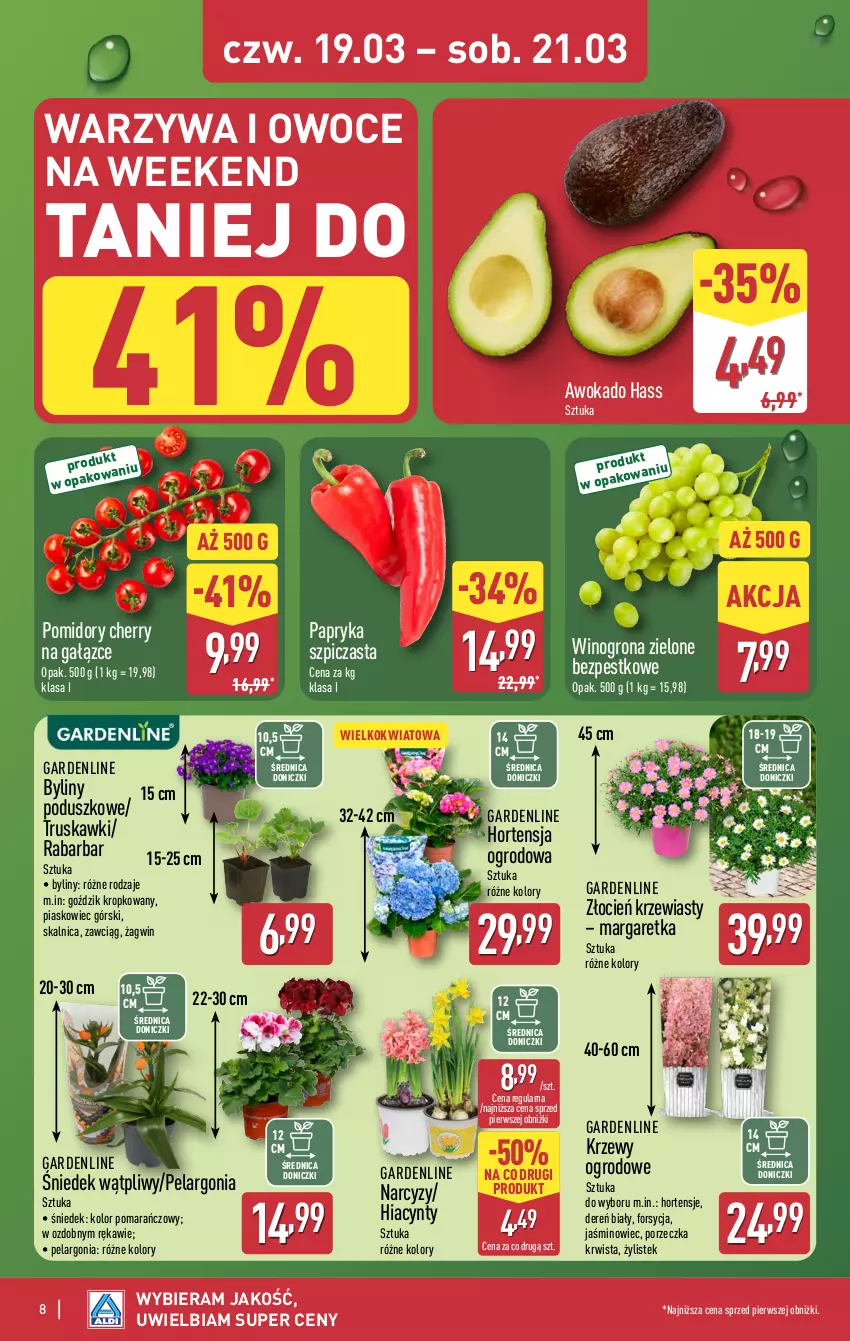 Gazetka promocyjna Aldi - Oferta weekendowa - ważna 19.03 do 21.03.2026 - strona 8 - produkty: Cień, Dereń, Hiacynt, Narcyz, Owoce, Papryka, Pomidory, Por, Stek, Szpic, Truskawki, Warzywa, Warzywa i owoce, Wino, Winogrona