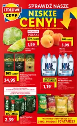 Gazetka promocyjna Lidl - GAZETKA - Gazetka - ważna od 07.07 do 07.07.2021 - strona 60 - produkty: Piwa, Nałęczowianka, Por, Gra, Sałata lodowa, Kawa ziarnista, Morela, Chipsy, Kawa, Jacobs Krönung, Sałat, Woda mineralna, Jacobs, Woda, Wasa, Lech Premium