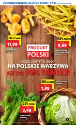 Gazetka promocyjna Lidl - GAZETKA - Gazetka - ważna od 07.07 do 07.07.2021 - strona 9 - produkty: Warzywa, Sałata lodowa, Sałat, Fasola, Fasola szparagowa, Seler naciowy, Fa