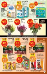 Gazetka promocyjna Delikatesy Centrum - Gazetka DC36 - Gazetka - ważna od 21.09 do 21.09.2022 - strona 31 - produkty: Kurczak, Warzywa, Sos, Ryż, Hibiskus, Pasztet, NAN Optipro, Chusteczki, Gala, Mango, Pedigree, Sucha karma, Mleko