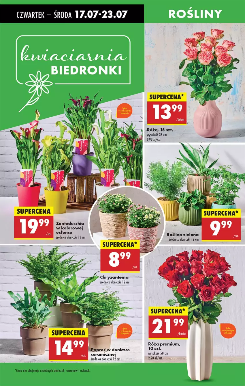 Gazetka promocyjna Biedronka - Od Czwartku - ważna 17.07 do 23.07.2025 - strona 72 - produkty: Chia, Róża, Sok, Wazon