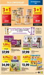 Gazetka promocyjna Lidl - GAZETKA - Gazetka - ważna od 07.10 do 07.10.2023 - strona 19 - produkty: Pur, Whiskas, Pedigree