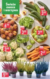 Gazetka promocyjna Stokrotka - Katalog Urodzinowy - Gazetka - ważna od 28.09 do 28.09.2022 - strona 3 - produkty: Kalafior, Warzywa, Sałata masłowa, Sałat, Gruszki, Brzoskwinie, Owoce, Masło