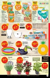 Gazetka promocyjna Delikatesy Centrum - Gazetka DC25 - Gazetka - ważna od 06.07 do 06.07.2022 - strona 25 - produkty: Banany, Por, Pampers, Pieluchy, BoboVita, Stek, Ananas, Salaterka, LANA, Szklanka, Mango, Jabłka